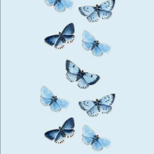 Meet your Posher, Liv